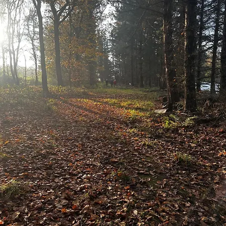 New Close To The Beach, Park And Nature